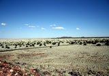 Wupatki Ruins Arizona 2021